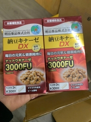 Viên Uống Chống Đột Quỵ Nattokinase Noguchi