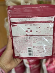 The Collagen Shiseido Bột 126G