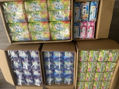 Bvs Laurier Nhật Bản