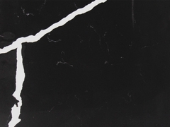 Black Marquina VQ8240