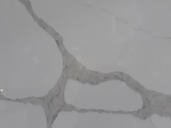 Calacatta Bettogli VQ8020