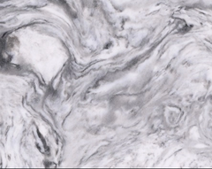 Vicostone White Fusion BQ8825