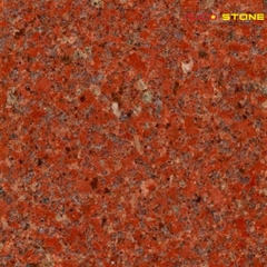 Đỏ Ruby Bình Định