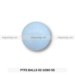 Bi bơm màng 02-1080-55 Teflon