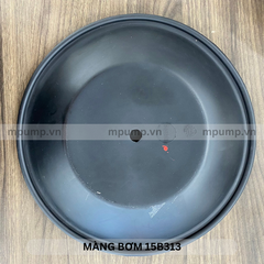 Màng bơm Husky 15B313