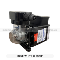 Bơm định lượng Blue-White C6125P