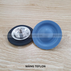 Màng bơm Blue White Teflon