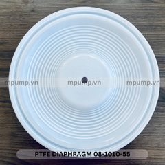 Màng bơm Wilden 08-1010-55 Teflon