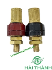 Cọc đồng M8 200A Kiểu Mới
