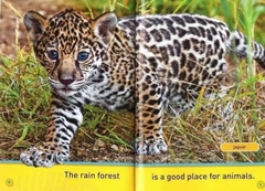 [Sách Nhập Khẩu] National Geographic Kids Level Pre - 26 cuốn