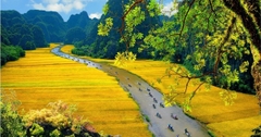Du lịch Ninh Bình tháng 5 – mùa lúa chín giữa non nước
