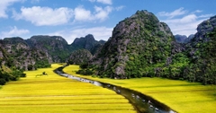 Sắc Lúa Tam Cốc - Bích Động: Kiệt Tác Thiên Nhiên Đắm Say Hàng Triệu Du Khách