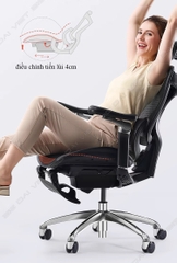 Ghế công thái học ergonomic Sihoo a3 (Sihoo Doro C300)