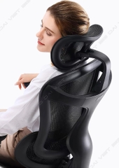 Ghế công thái học ergonomic Sihoo a3 (Sihoo Doro C300)
