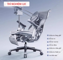 Ghế công thái học ergonomic Sihoo AU (Sihoo Doro S300) bản 3.0 2024 version mới nhất full options