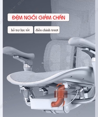 Ghế công thái học ergonomic Sihoo AU (Sihoo Doro S300) bản 3.0 2024 version mới nhất full options