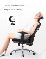 Ghế công thái học ergonomic Sihoo M18/M18 có gác chân