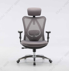 Ghế công thái học ergonomic Sihoo M18/M18 có gác chân