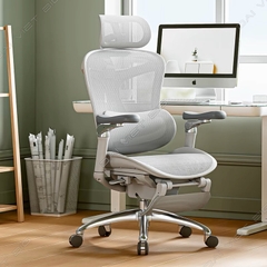Ghế công thái học ergonomic Sihoo a3 (Sihoo Doro C300)