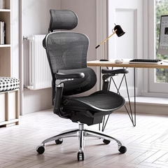 Ghế công thái học ergonomic Sihoo a3 (Sihoo Doro C300)