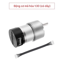 Động cơ giảm tốc DC Huaner 520 robot khung gầm xe thông minh động cơ mô-men xoắn cao độ chính xác cao