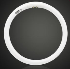 Philips bóng đèn tròn Tl5C bốn chân