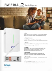 Pin Lithium DEYE 51,2V-200Ah, Deye Ess RW-F10.2 chính hãng BH 5 năm