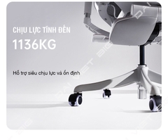 Ghế công thái học ergonomic Sihoo Doro S100 tặng kèm gác chân cao cấp, bảo hành 3 năm