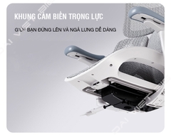Ghế công thái học ergonomic Sihoo Doro S100 tặng kèm gác chân cao cấp, bảo hành 3 năm