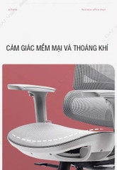 Ghế công thái học ergonomic Sihoo M91C BẢN TAY NÂNG CẤP 3D