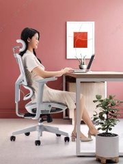 Ghế công thái học ergonomic Sihoo M91C BẢN TAY NÂNG CẤP 3D