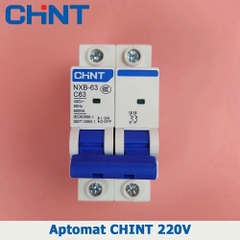 Aptomat 2 pha 63A CHINT NXB-63 C63