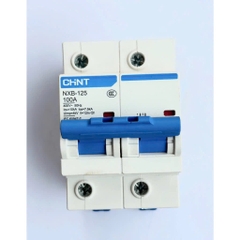Aptomat MCB 2 Pha NXB-125A Chint 100A, Dòng Cắt 6KA~10KA (Hàng chính hãng)