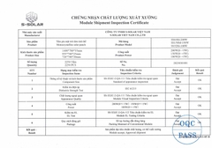 Tấm Pin năng lượng mặt trời 50W