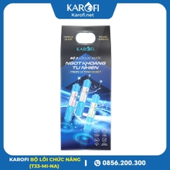 Bộ 3 Lõi Chức Năng Karofi Mẫu Mới (T33, Mi, Nano)