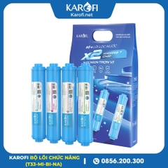 Bộ 4 Lõi Chức Năng Karofi Mẫu Mới (T33, Mi, Bi, Nano)