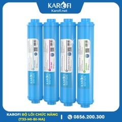 Bộ 4 Lõi Chức Năng Karofi Mẫu Mới (T33, Mi, Bi, Nano)