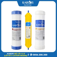 Bộ Lõi 123 Karofi (Lõi 2 Số 2 Cation Resins)