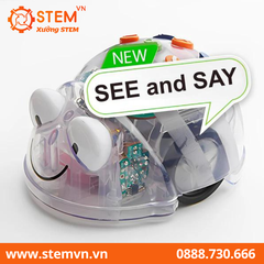 Blue-Bot Robot giáo dục STEM cho lứa tuổi mầm non