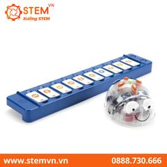 Blue-Bot Robot giáo dục STEM cho lứa tuổi mầm non