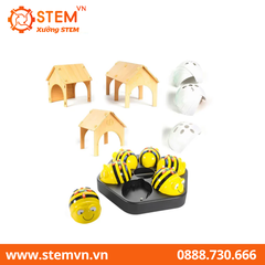 TTS 6 Bee-Bot Programmable Robots with Docking Station, Wooden Tunnels & FREE 10-pcs Clip on Shells White - STEM Learning Coding Robotics for Kids Age 3+