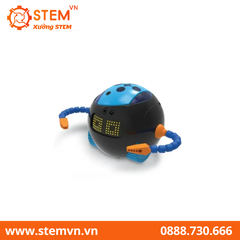 Cooper STEM Robot - Robot giáo dục cho lứa tuổi mầm non