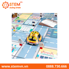 Phụ kiện hỗ trợ học tập cho lứa tuổi mầm non, tiểu học - TTS Seaside Activity Tin Accessories for Bee-Bots & Blue-Bots Robotics