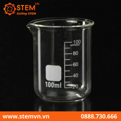 Cốc thủy tinh 100 mL