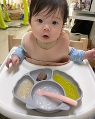 KHAY ĂN DẶM HÌNH SÒ - TGM