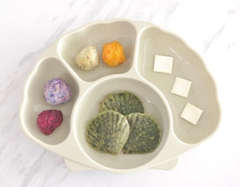 KHAY ĂN DẶM HÌNH SÒ - TGM