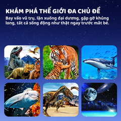 KÍNH QUANG HỌC 3D FILMSCOPE- MIDEER