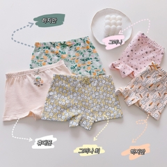 [ORDER] QUẦN CHIP BÉ GÁI (SET 5 CHIẾC)