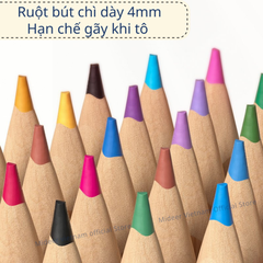 BÚT CHÌ MÀU GỐC DẦU VIBRANT COLORED PENCIL - MIDEER