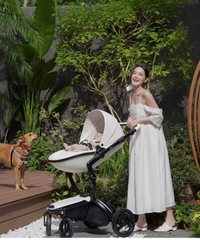 XE ĐẨY CAO CẤP MIMA XARI